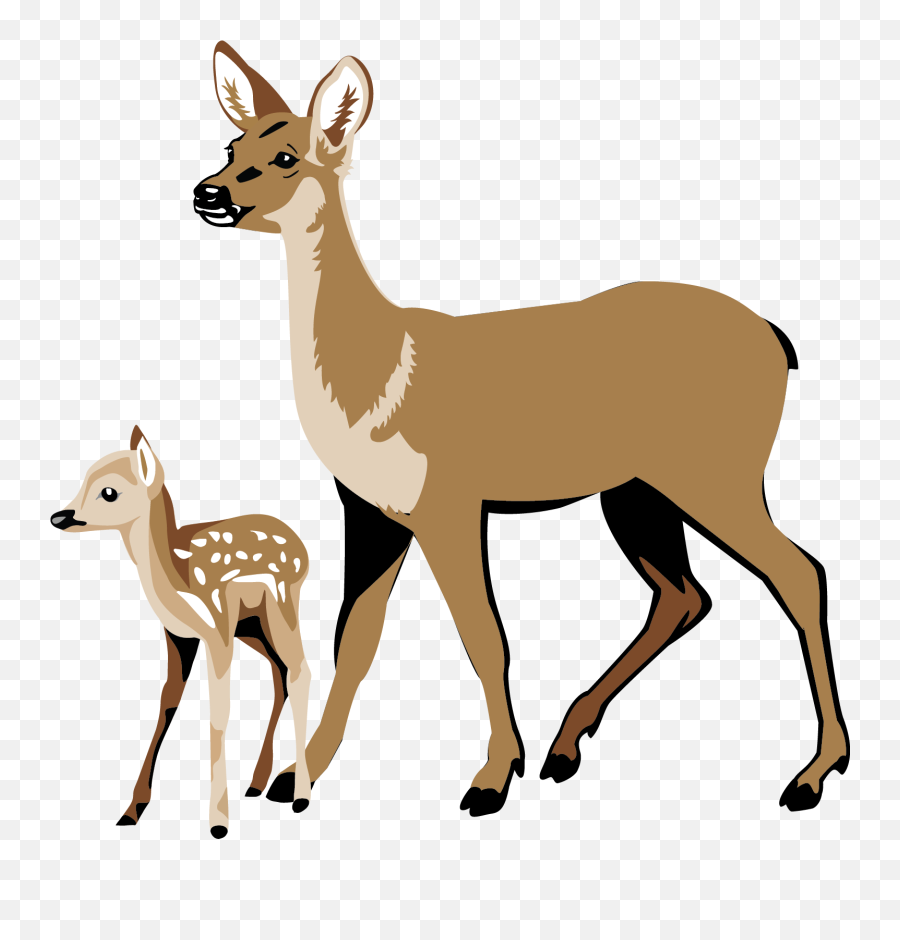Buck Clipart Fawn Buck Fawn - Deer And Fawn Clipart Emoji,Whitetail Deer Emoji