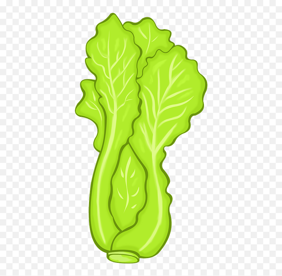 Lettuce Clipart - Lettuce Clipart Emoji,Lettuce Emoji