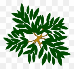 Tree Top View Clipart Png Emoji