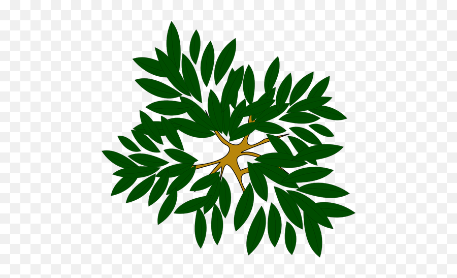 Tree Top View Clipart Png Emoji,Boom Emoji