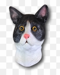 Black White Cat Mask Emoji,Snot Nose Emoji