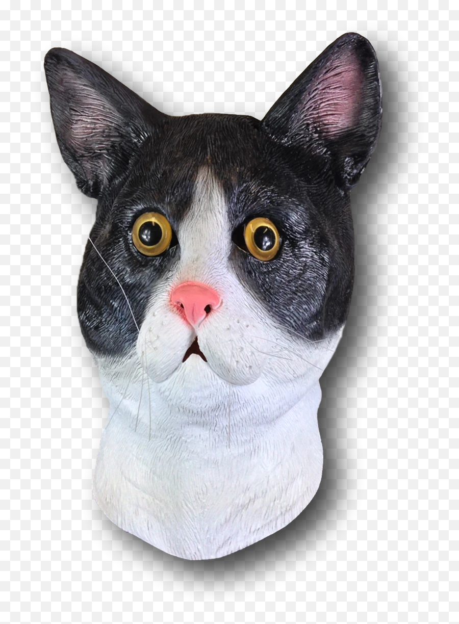 Black White Cat Mask Emoji,Snot Nose Emoji