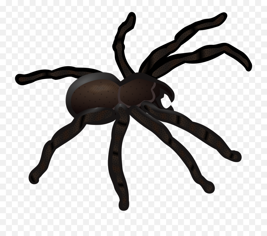 Spider Web Clip Art - Realistic Spider Clipart Emoji,Spider Emoji