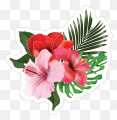 Gorgeous Hibiscus Flower Trio Sticker - Hawaiian Hibiscus Emoji,Hibiscus Emoji