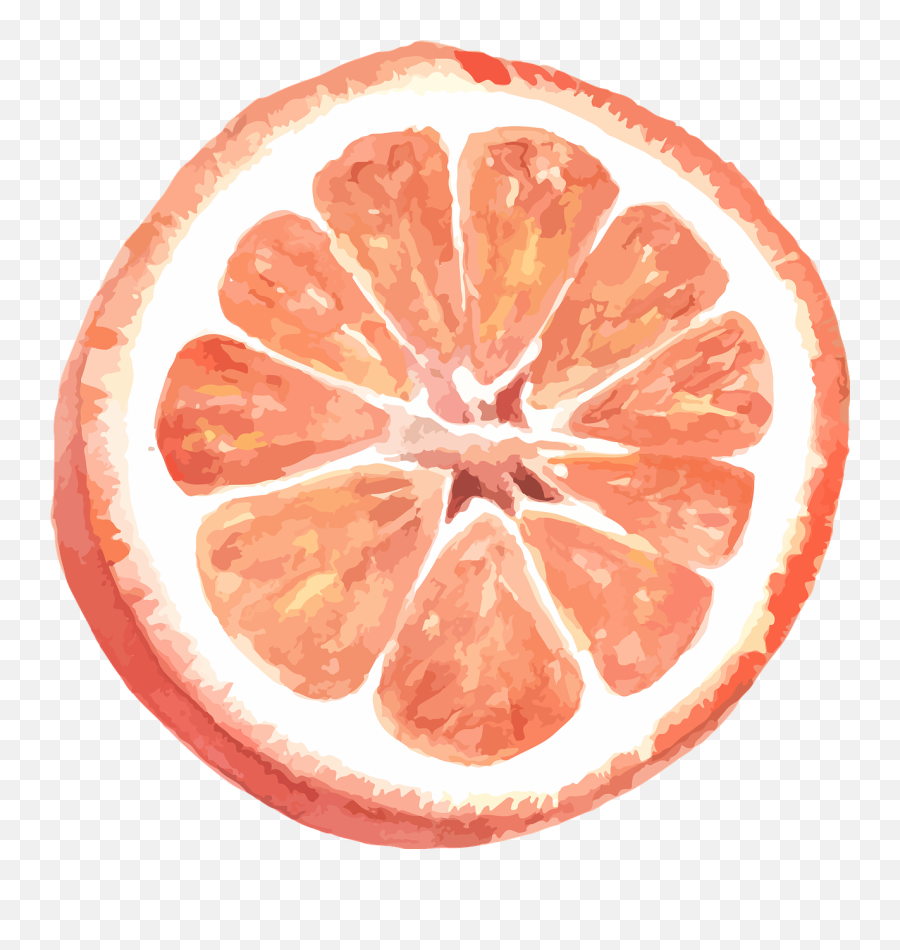 Grapefruit Citrus Watercolor - Grapefruit Puns Emoji,Grapefruit Emoji