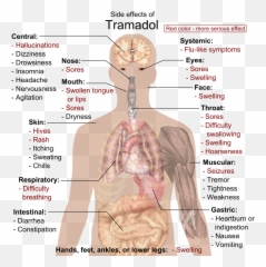 Side Effects Of Tramadol - Tramadol Effects Emoji,Sleep Emoji Copy And Paste
