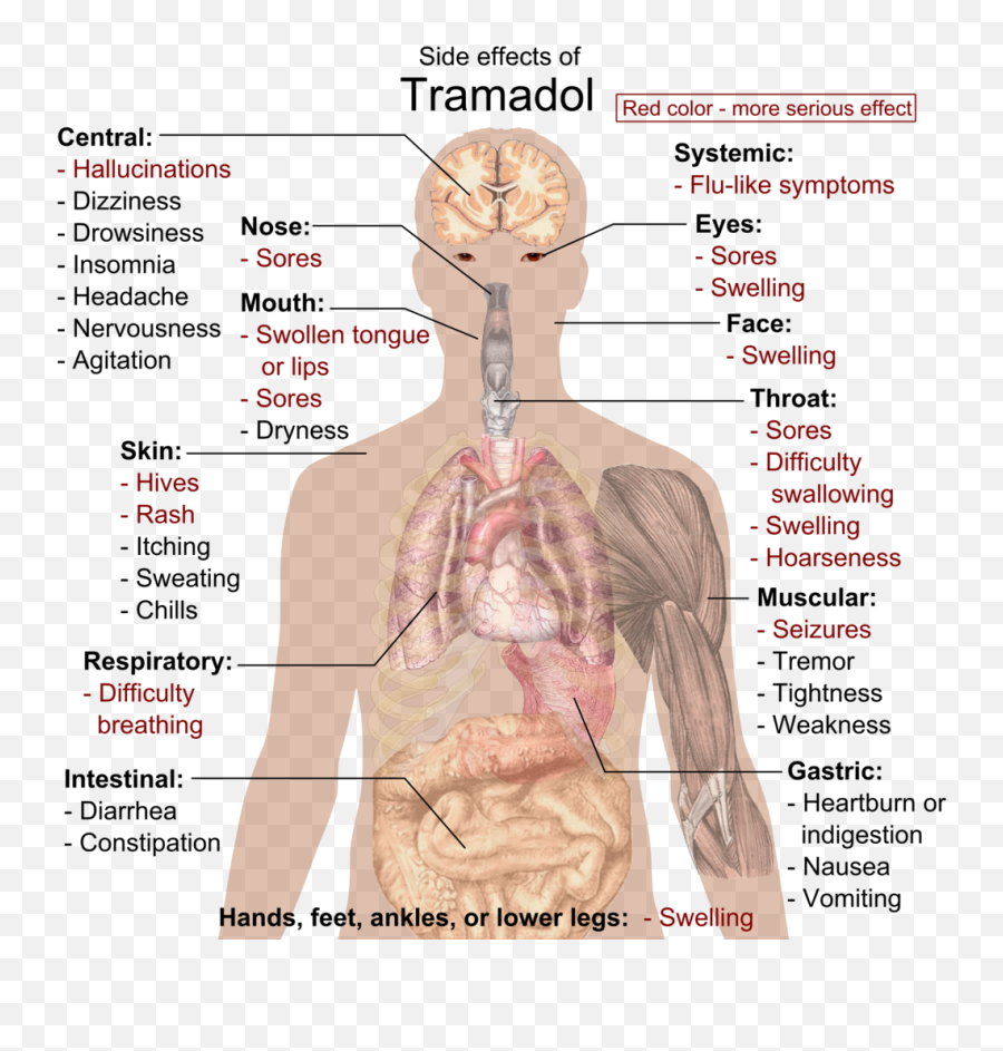 Side Effects Of Tramadol - Tramadol Effects Emoji,Sleep Emoji Copy And Paste