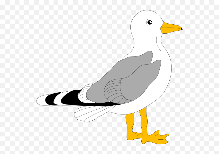 Seagull Png Images Icon Cliparts - Bird Clip Art Emoji,Seagull Emoji