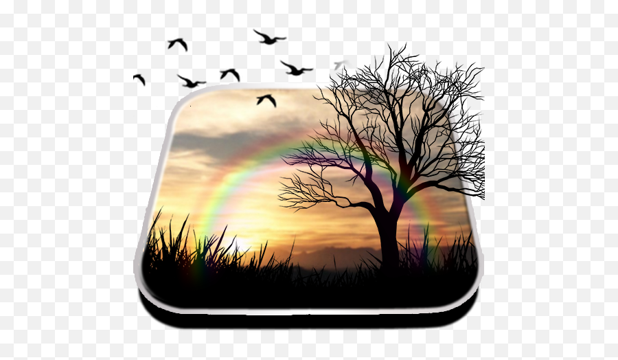 Day Night Live Wallpaper - Kill A Mockingbird Tree Cartoon Emoji,Sunrise Bird Emoji