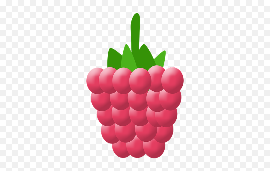 80 Free Raspberries U0026 Raspberry Illustrations - Pixabay Raspberry Emoji,Raspberry Emoji