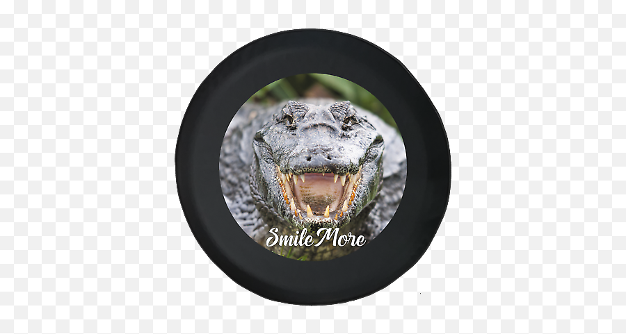 Spare Tire Cover Alligator Crocodile - Crocodile Egg Ice Cream Emoji,Alligator Emoji