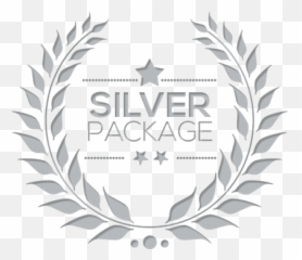 Schedule Appointment with SpinNations Family Roller Skating - Silver Package Emoji