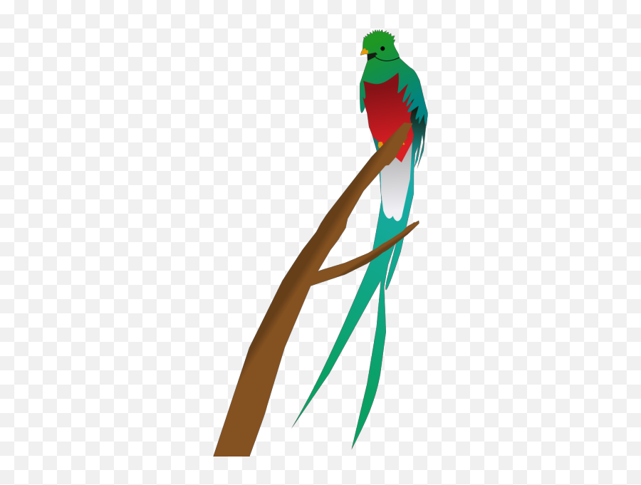 Tropical Bird Png Svg Clip Art For Web - Download Clip Art Tropical Bird Clip Ar Emoji,Raven Bird Emoji