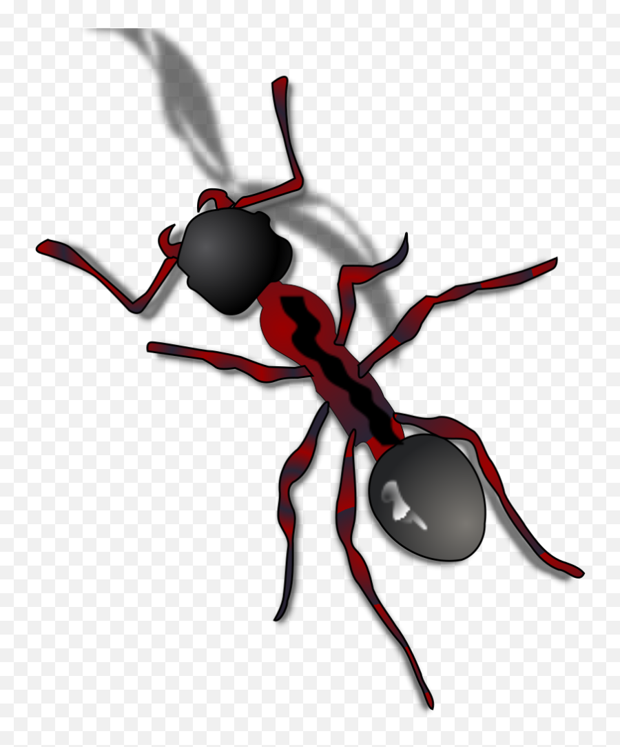 Ant Close Up Png Svg Clip Art For Web - Ant Clip Art Emoji,Ant Emoji