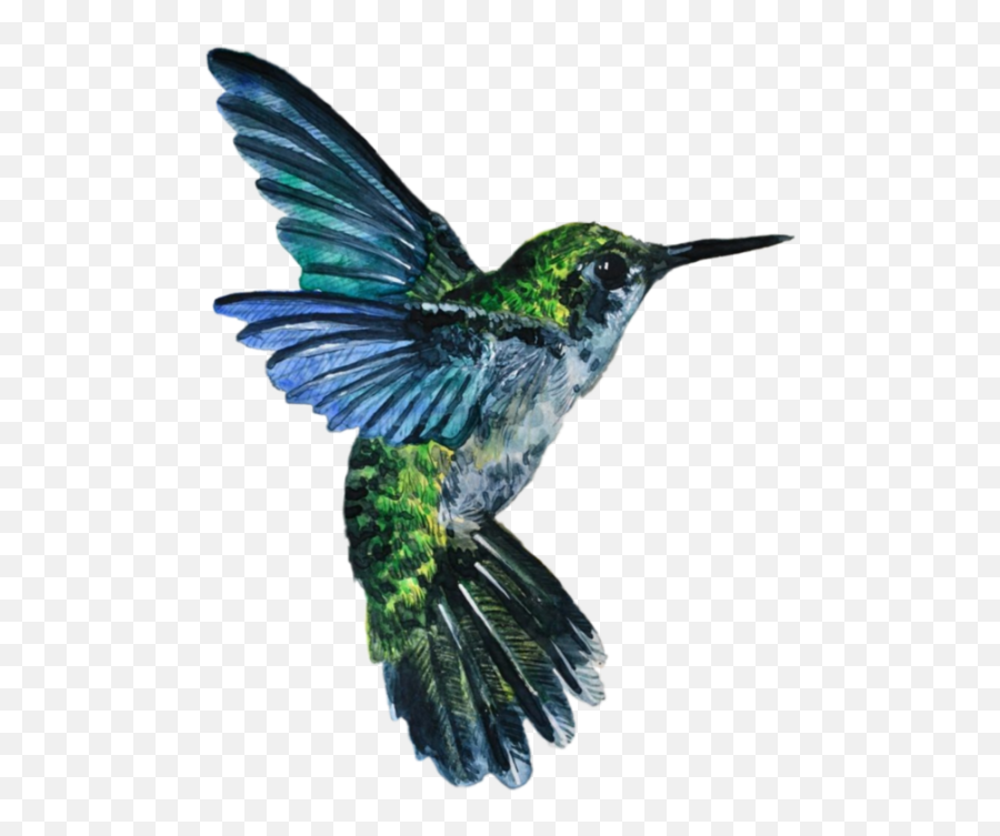 Bird Hummingbird Sticker - Hummingbird Emoji,Hummingbird Emoji