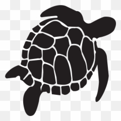 Turtle - Transparent Background Turtle Icon Emoji,Sea Turtle Emoji