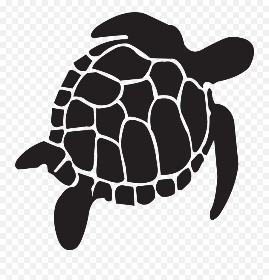 Turtle - Transparent Background Turtle Icon Emoji,Sea Turtle Emoji
