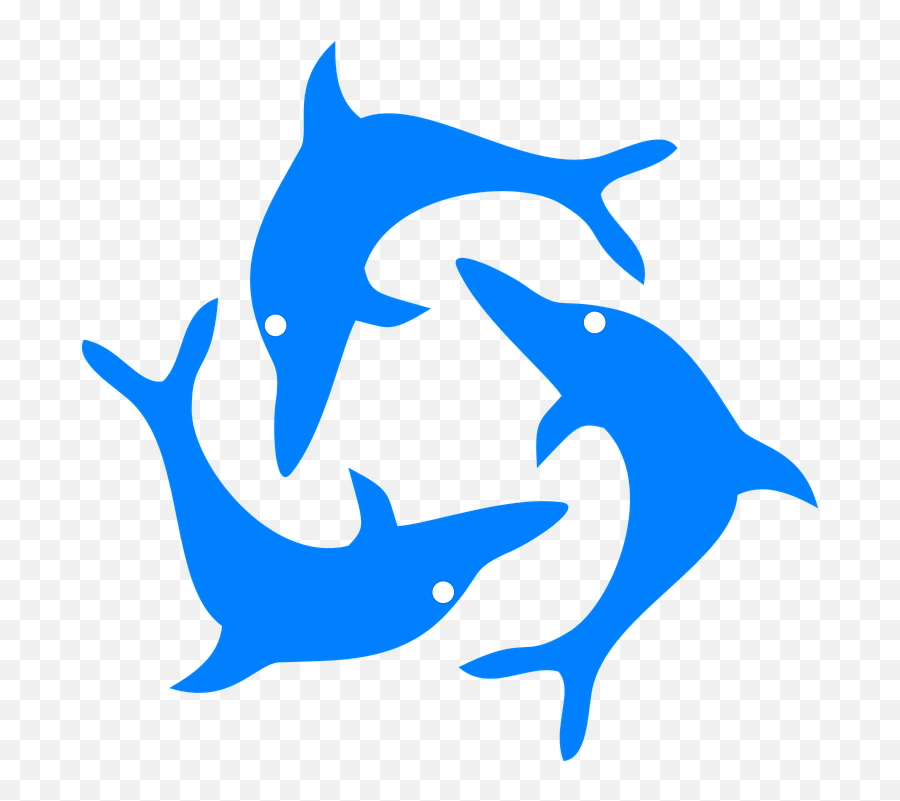 Dolphins Fish Jumping 3 Dolphins Clip Art Emoji Anguilla Flag Emoji Free Transparent Emoji Emojipng Com