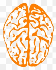 Mentalemojisemoticonsiconssymbols - free image from Orange Brain Png Emoji