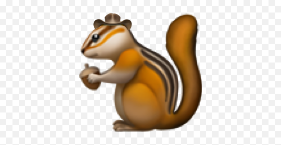 Petition To Adopt This New Set Of Emojis,Squirrel Emoji