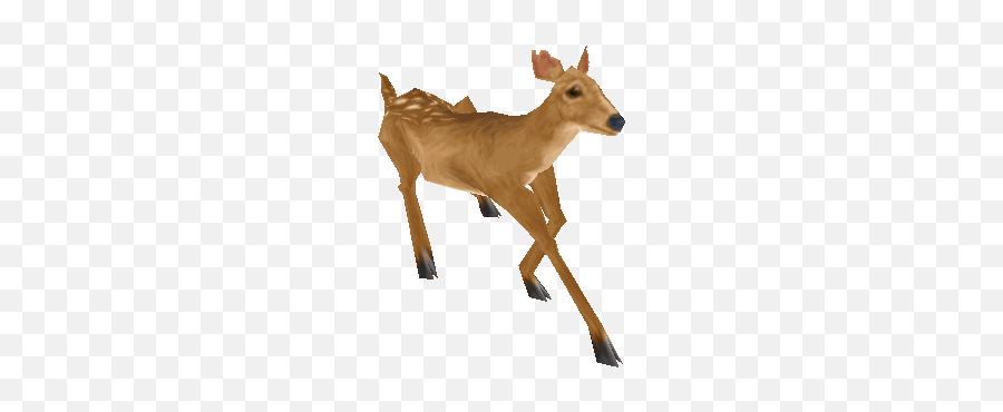Deer Hunting Stickers For Android Ios - Deer Running Gif Transparent Emoji,Deer Hunting Emoji