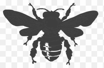 Bee Beehive Honey - Transparent Drawing Png Emoji