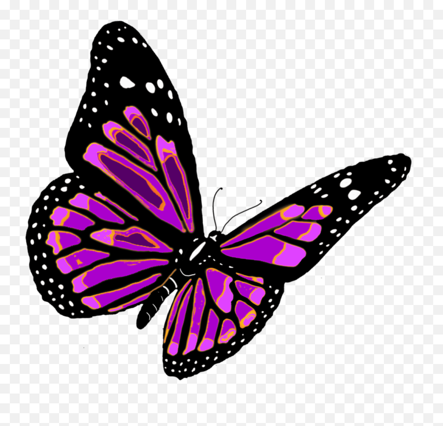 Pictures Free Icons And Backgrounds Png - Butterfly Png Emoji,Free Butterfly Emoji