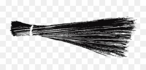 2017 - Symbol Of Aam Aadmi Party Emoji,Voting Emoji
