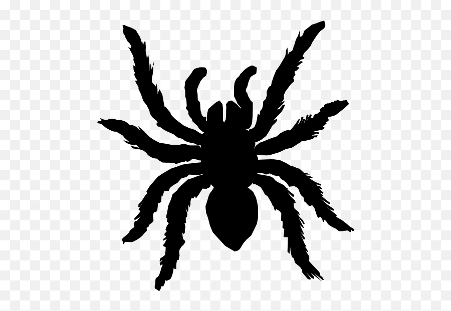 Fuzzy Spider Sticker - Collection Of Spiders Emoji,Spider Emoji