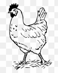 Chicken And Rooster Clipart Kid 4 - Hen Black And White Emoji,Rooster Emoji
