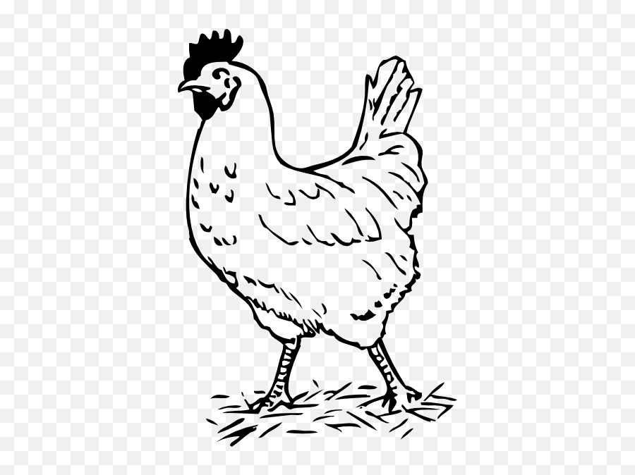 Chicken And Rooster Clipart Kid 4 - Hen Black And White Emoji,Rooster Emoji