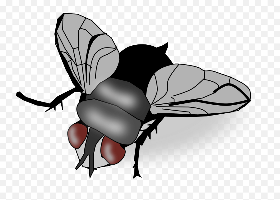 Fly Clipart Free Download Transparent Png Creazilla - Fly Clipart Png Emoji,Fly Emoji