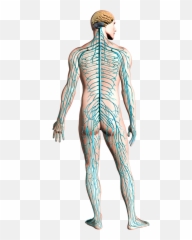 Nervous clipart transparent Transparent - System Png Emoji