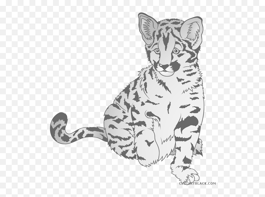 Images - Leopard Cartoon Emoji,Leopard Emoji