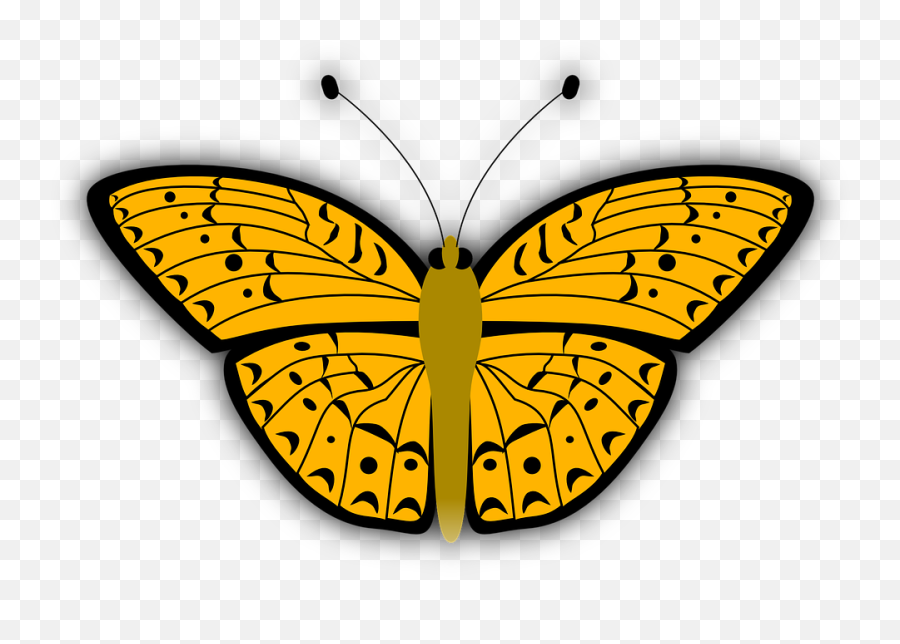 Butterfly Insect Bug - Hewan Kupu Kupu Kartun Emoji,Butterfly Emoji