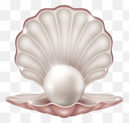 Clam Pearl Seashell Clip Art - Pearl Png Emoji,Clam Emoji