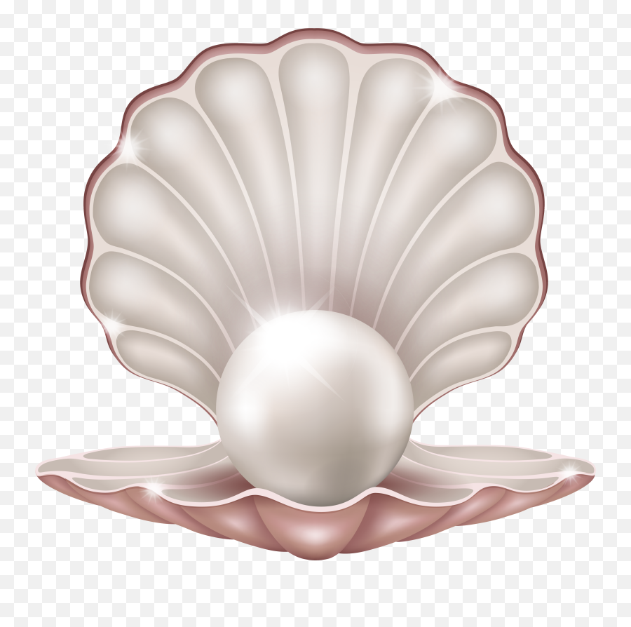 Clam Pearl Seashell Clip Art - Pearl Png Emoji,Clam Emoji