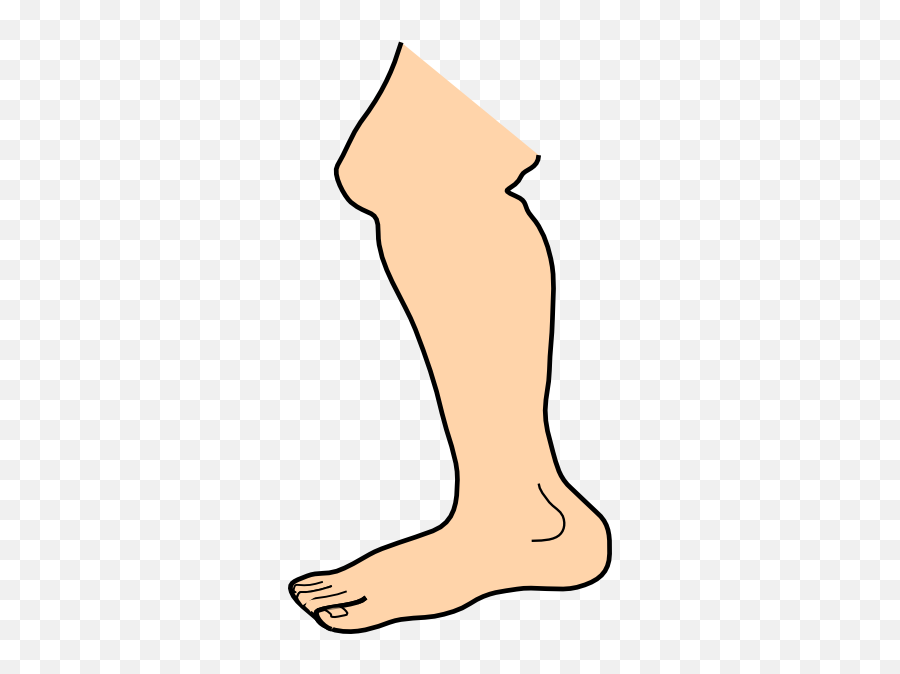 Foot Feet Clip Art Free Clipart Image - Foot Clipart Png Emoji,Toe Emoji