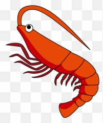 Transparent Background Shrimp Clipart - Clip Art Picture Of Shrimp Emoji,Shrimp Emoji