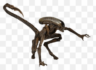 Alien Png Transparent Images Free Download Clip Art - Alien Transparent Emoji,Xenomorph Emoji