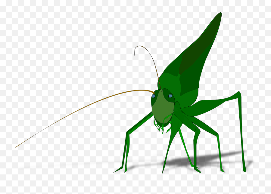 Kostenlose Trichter Und Insekt - Grasshopper Clipart Gif Emoji,Emoji Cakes