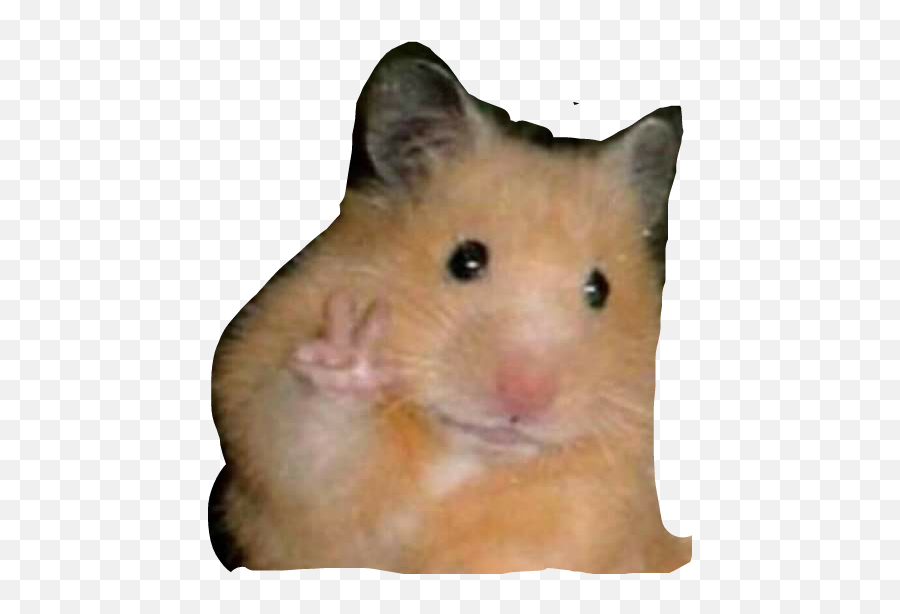 Largest Collection Of Free - Toedit Hamster Cute Stickers Sticker Hamster Meme Emoji,Hamster Face Emoji