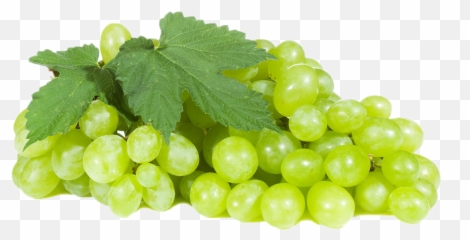 Free Grape Leaves Png Download Free Clip Art Free Clip Art - Grapes Png Hd Emoji,Grape Emoji