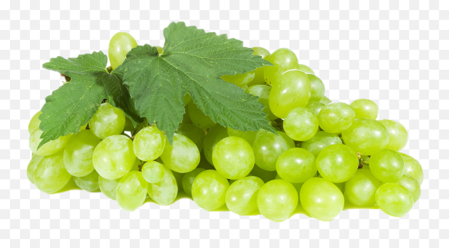 Free Grape Leaves Png Download Free Clip Art Free Clip Art - Grapes Png Hd Emoji,Grape Emoji