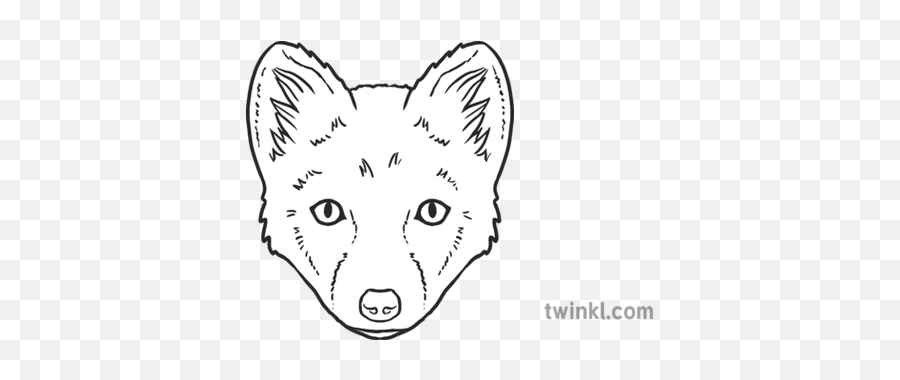 Arctic Fox Emoji Twinkl Newsroom Ks2 Black And White Rgb - Nz Sign Language Letter S,Fox Emoji