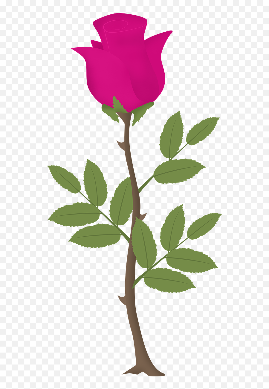 Rosa Flower Roses Pink Vector Pink - Rose Tree Vector Png Emoji,Hawaiian Flower Emoji