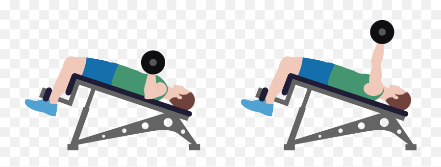 Weight Bench Clipart Transparent 50 Photos On This Page - Dumbbell Emoji,Dumbbell Emoji