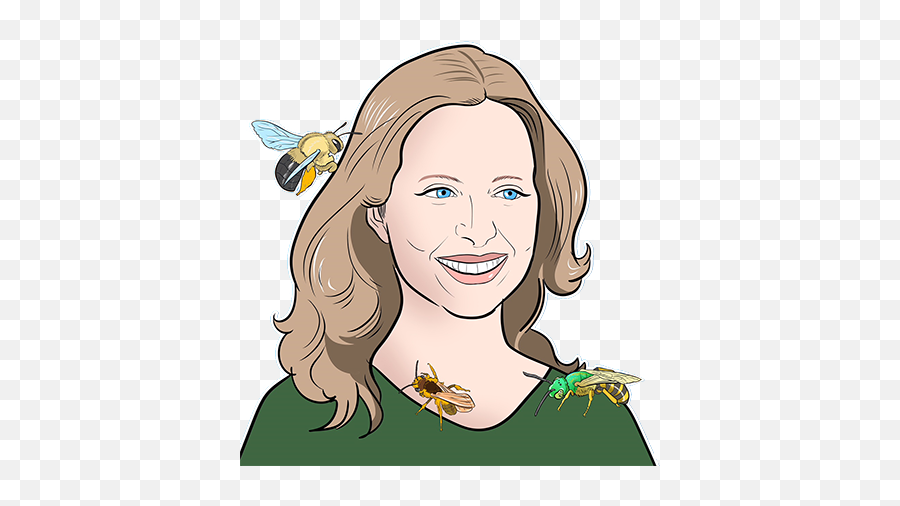 How To Help Revive A Cold Or Wet Bee U2022 Save Bees - Cartoon Emoji,Bumblebee Emoji