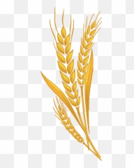 Library Of Shock Of Wheat Graphic Library With Transparent - Wheat Clipart Emoji,Wheat Emoji