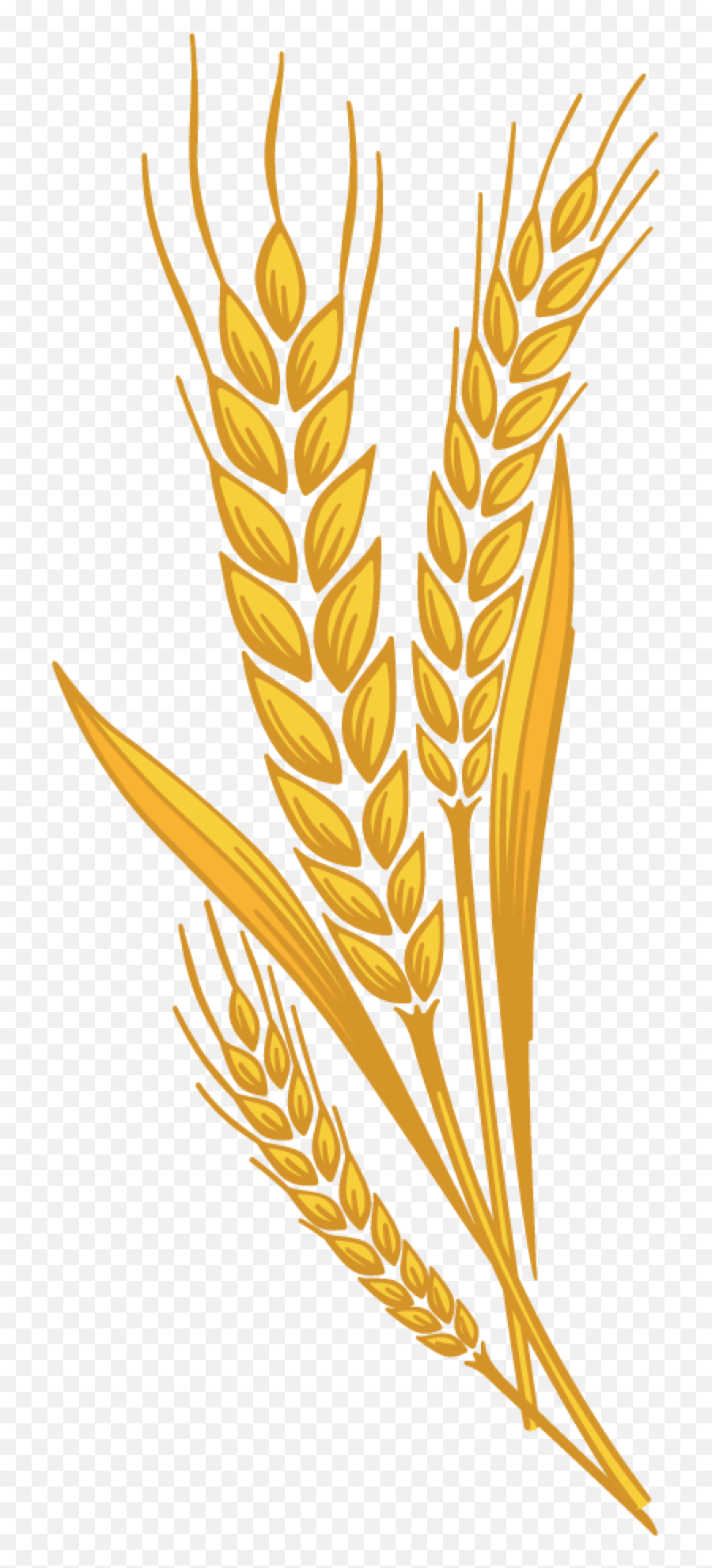 Library Of Shock Of Wheat Graphic Library With Transparent - Wheat Clipart Emoji,Wheat Emoji